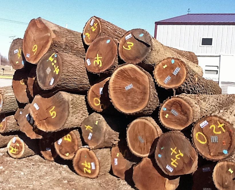 Fivestar Log Plates 2.JPG